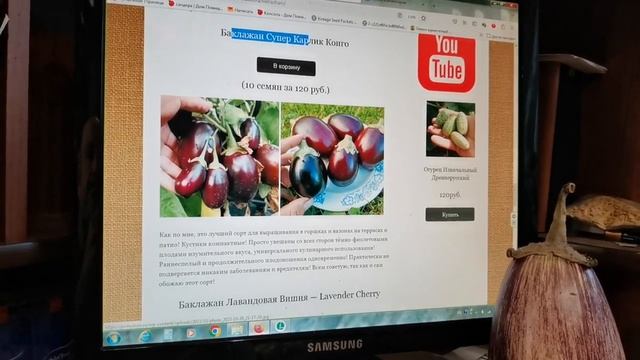 Таких сортов БАКЛАЖАНОВ Вы ещё НЕ ПРОБОВАЛИ! Семена уже в наличии на pomidom.ru смотреть онлайн