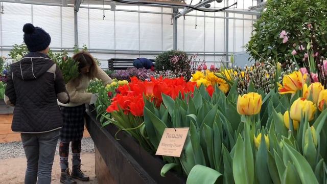 22 02 2018 в Атекарском огороде 720p смотреть онлайн