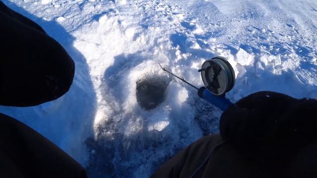 Окунь на ЧЁРТИКА!!! Первая рыбалка в новом году. смотреть онлайн