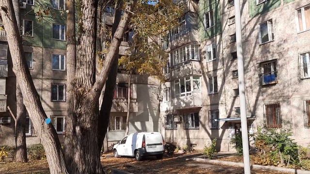Золотая осень в нашем дворе. Алма-Ата 2021 смотреть онлайн