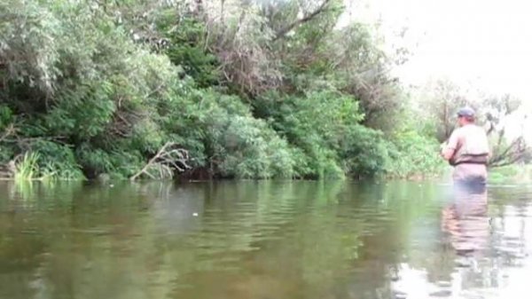 Сухой Донец