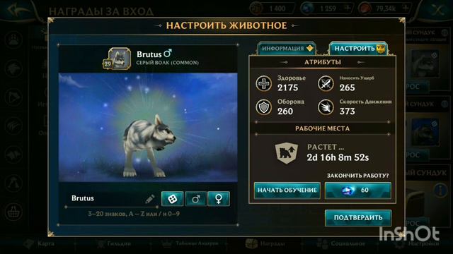 Открываю сундук чемпиона в Wolf Tales