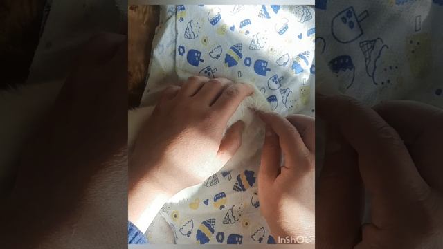 Что делать если у крольчат не открываются глазки. смотреть онлайн