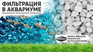 Фильтрация в аквариуме - химическая, биологическая, механическая