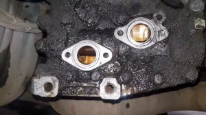 Ретарда ( тормоз замедлитель)   Intarder ZF