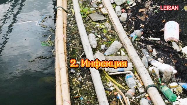 КУБА 2022: МИНУСЫ ОТДЫХА на Кубе. Стоит ли ехать на Кубу сейчас (зимой)? Варадеро. Гавана. Экскурси смотреть онлайн