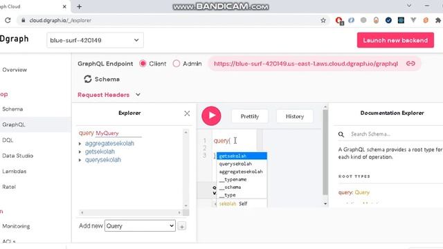 HOW TO DEPLOY GRAPHQL DATABASE WITH DGRAPG смотреть онлайн