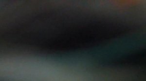 1   Часть  Охота и Рыбалка  Восточная Сибирь  Иркутская обл