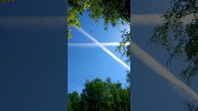 Кусково парк усадьба смотреть онлайн