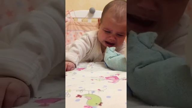 Мишка косолапый смотреть онлайн