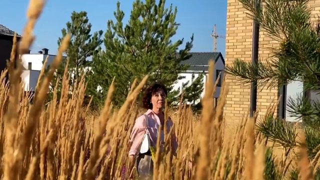 Проект сквера и бульвара Эльтаун смотреть онлайн