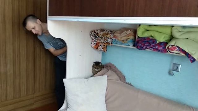 ?День многомамы ??Уборка с детьми ?Что кушаем ??Что делаем своими руками смотреть онлайн