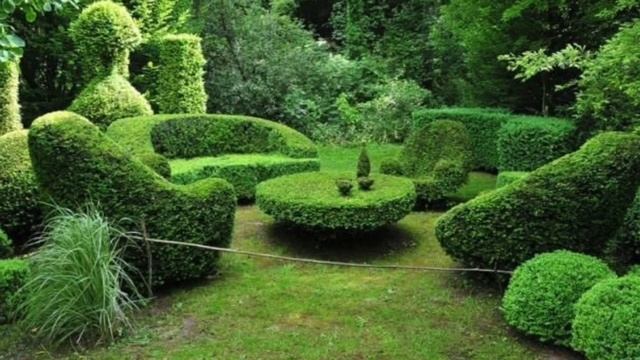 Самшит: модные стрижки смотреть онлайн