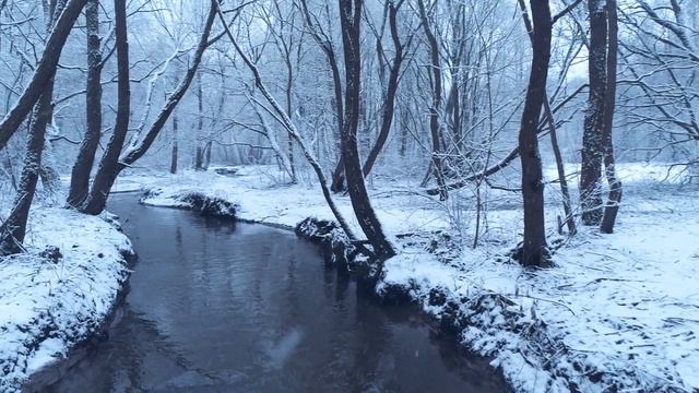 Измайловский парк. Последний день зимы