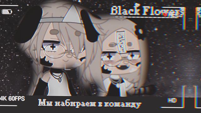 Набор в команду🖤 +Пишите вопросы для АСК:) смотреть онлайн