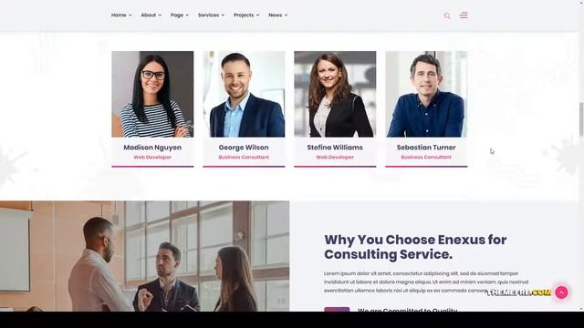 Enexus - Consulting Business Elementor WordPress Theme finance creative Ayana смотреть онлайн