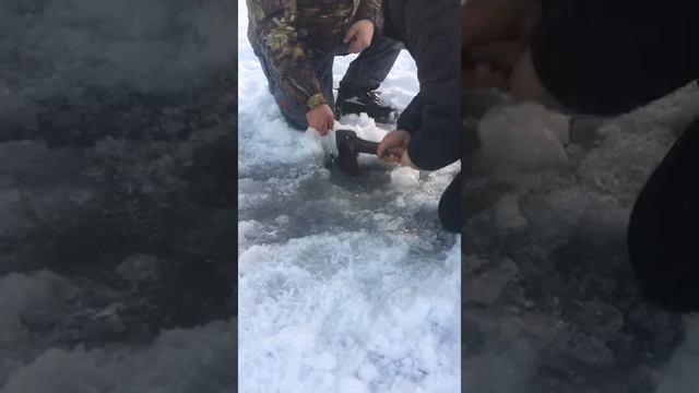 5 января 2021 г. смотреть онлайн