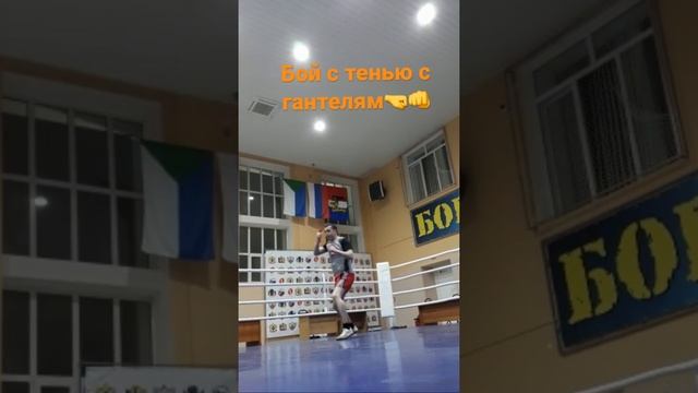 Бой с тенью с гантелями?#тренировка #мма #boxing #бокс #iphone #apple смотреть онлайн