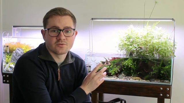 Pond Tank Update - Aquascape смотреть онлайн