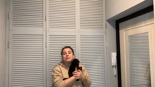 Организация в прихожей / Жалюзные двери своими руками смотреть онлайн