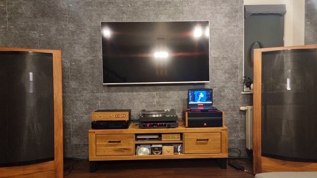 Dominique Fils-Aimé "Birds" : Martin Logan CLS, Rotel RHB-10, 2 x PCM63-K DAC (6414 tubes analog) смотреть онлайн