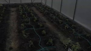 Капельный Полив Купить Магазин