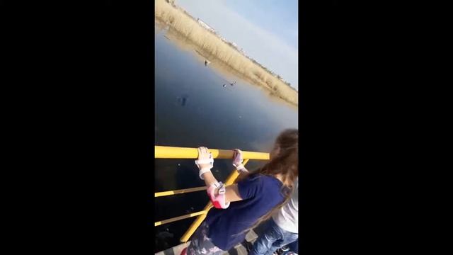 Омск, Птичья Гавань