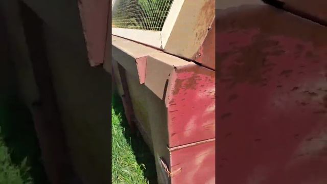 Жатка для уборки подсолнечника НАШ 873-06 экспресс-обзор от Попова Олега смотреть онлайн
