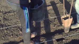 Ручная картофелесажалка - ноу хау!!!