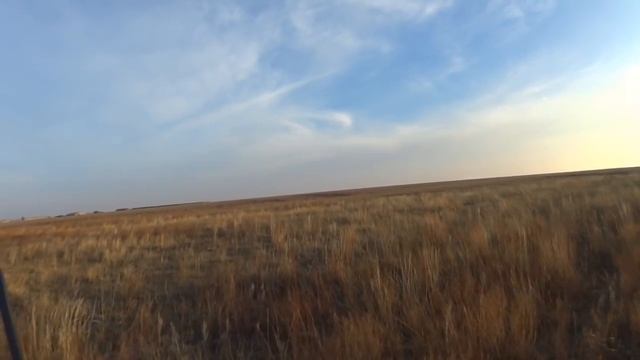 Охота на зайцев - На радость зайцам смотреть онлайн