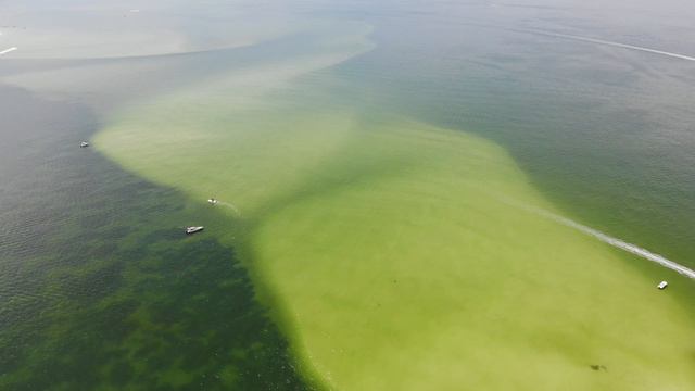 Drone St Joseph Sound Florida Labor day 2020 смотреть онлайн