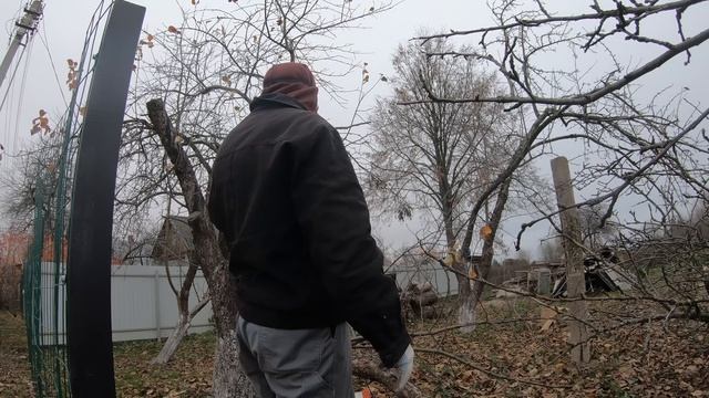 Обрезка яблонь. Готовим сад к зиме. / Из Москвы в деревню 31 смотреть онлайн