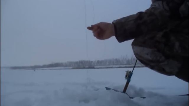 Ловля щуки (жерлицы, на живца, отчет 14.01.2017) смотреть онлайн