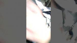 СНЯТИЕ ФОРСУНОК ГАЗОН NEXT ЧАСТЬ 2 (89633253972)