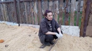 Как удобнее посадить лук на зелень на Урале