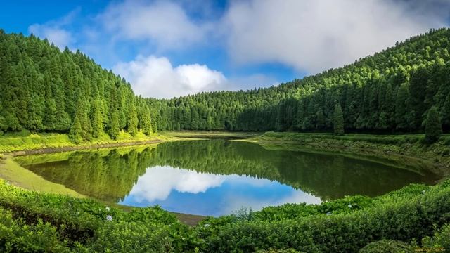 История для сна. Аудиорассказ история из жизни. Сила любви. смотреть онлайн