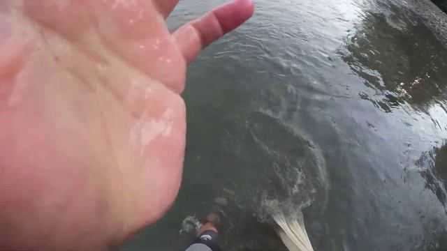 Шикарный улов на Кастинговую сеть! И удивительные места на р. Лаба!!! смотреть онлайн