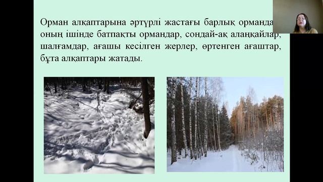 Дәріс тақырыбы: Сүтқоректілердің іздері бойынша қысқы маршруттық есепке алу әдістемесі смотреть онлайн