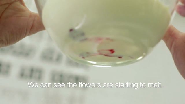 How to Use Power Flowers смотреть онлайн