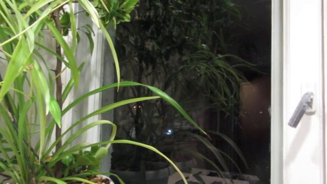 и строчек ряд... смотреть онлайн