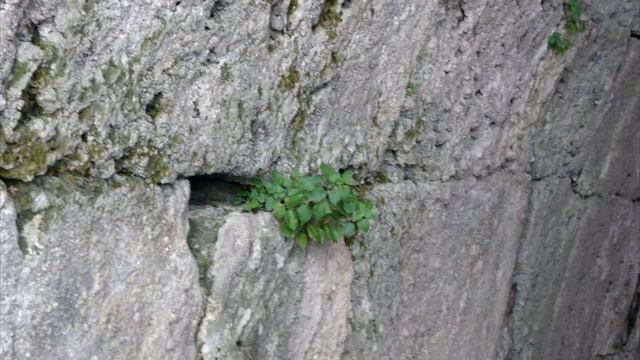 Античный Сиде Турция смотреть онлайн
