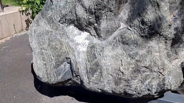 Серпентинит с хризотил-асбестом.Сибирский Федеральный Университет. смотреть онлайн