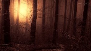 Сталкер топ релакс фм  музыка  Подпишись не пропускай новинки #stalker