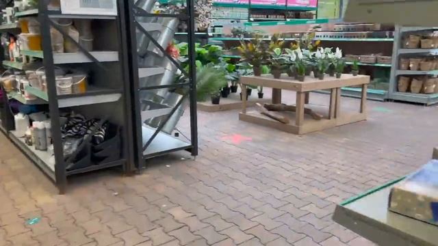 Идеальные яйца. Осенний декор. Кодлер. Закупка перед отпуском. #PixelsOfLife смотреть онлайн