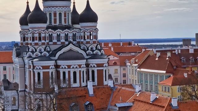 Эстония.Таллинн.Церковь-музей Нигулисте.Лифт уносит на новые смотровые площадки!Невероятные виды! смотреть онлайн