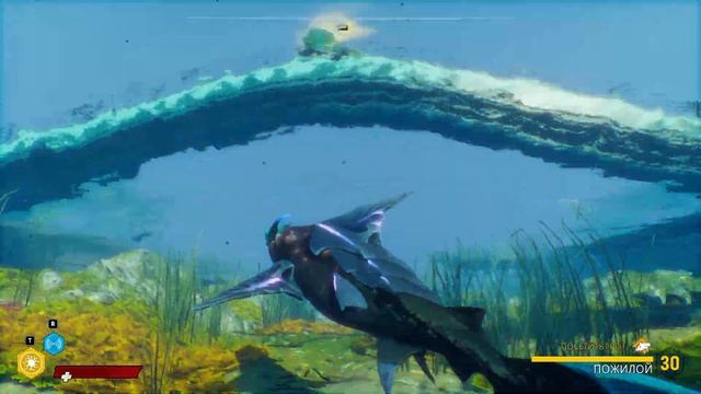 Maneater ➤ Пески благоденствия ➤ Все коллекционные предметы смотреть онлайн