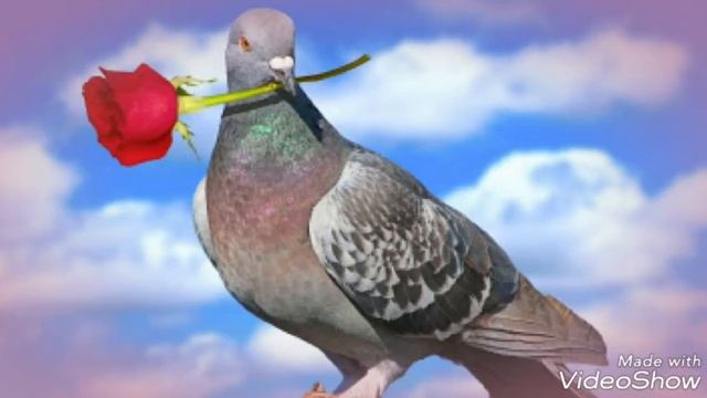 Слишком поздно я понял что потерял смотреть онлайн