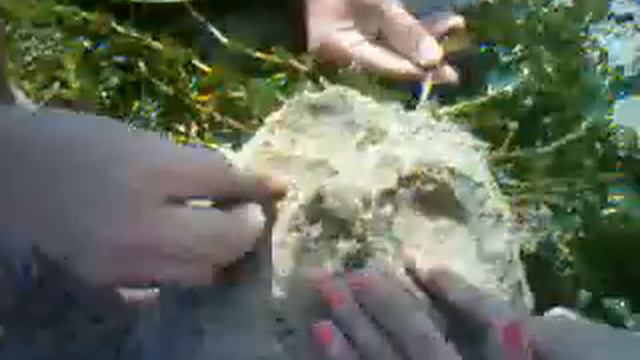 За Волгой. Русалка (процесс) смотреть онлайн