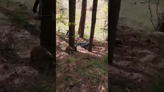 Regulmoto sport 003 проходит обкатку полным ходом. #падение #заезд в гору #reels #рекомендации #то смотреть онлайн