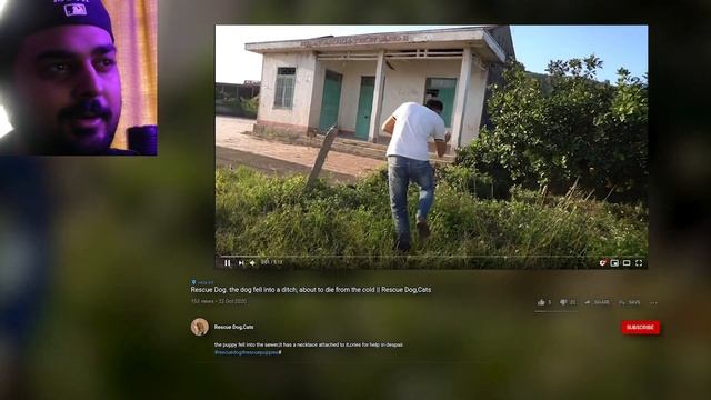 Fake Animal "Rescue" Channels Keep Popping Up... смотреть онлайн